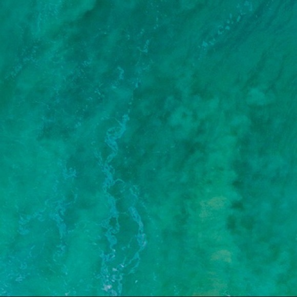 Meet your Posher, Mike - Picture 1 of 1